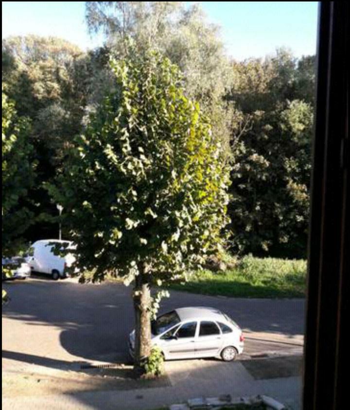 Chez Mimi - chambre vue parc Bruselas Exterior foto